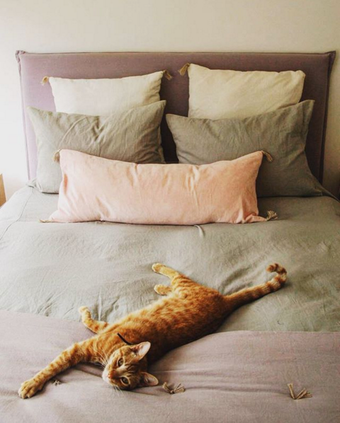 Almohada para cama de 90 medidas hotsell